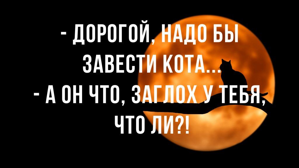 Анекдот про костюм Адама