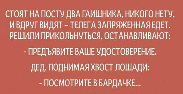 Анекдот про Вовку и косички