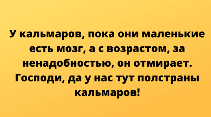 Анекдот про порядки в отделе