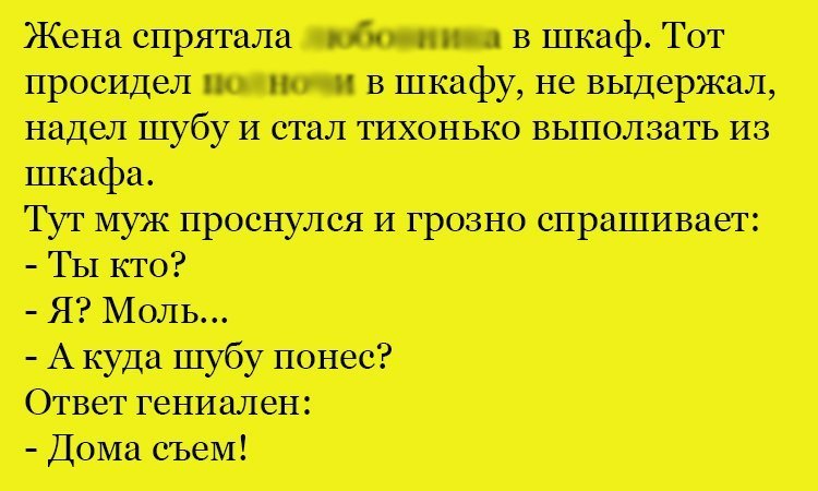 Анекдот про моль и шубу