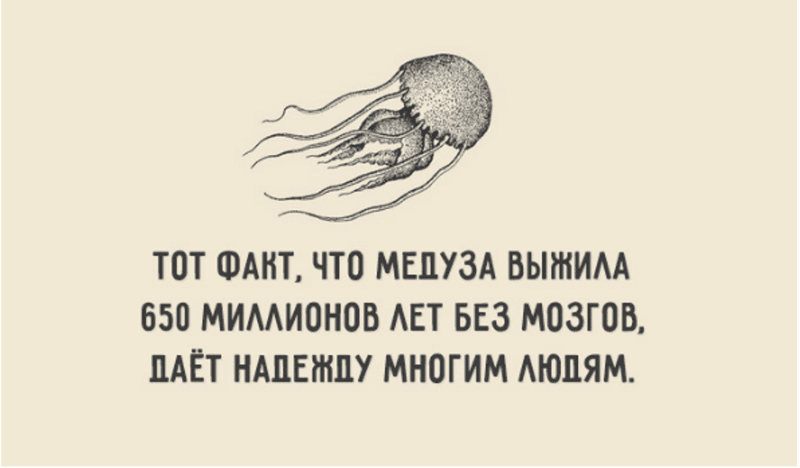Анекдот про утюг