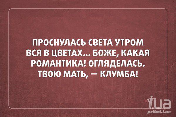 Анекдот про моль и шубу