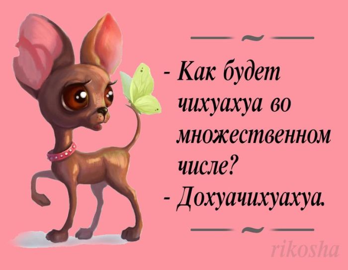 Анекдот про командировку