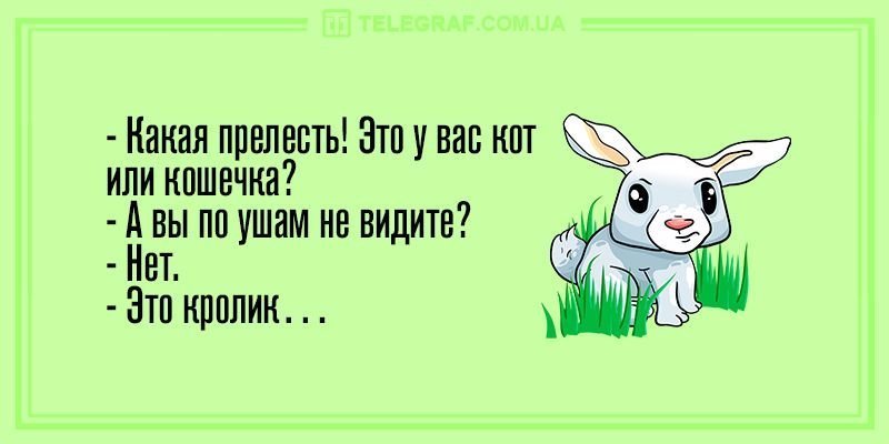 Анекдот про Ягусю