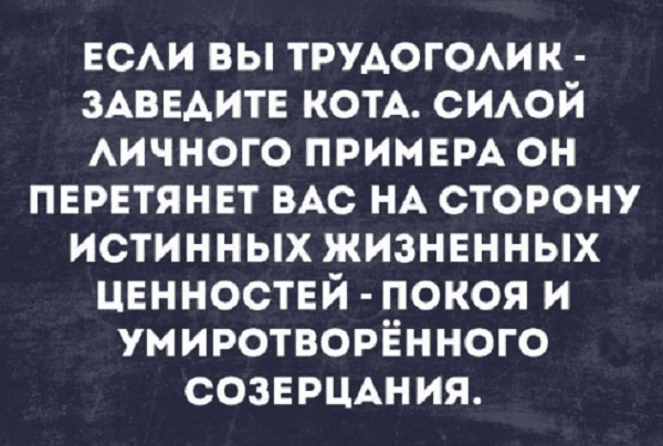 Анекдот про веточки-былиночки