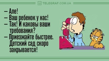 Анекдот про занавески