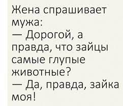 Анекдот про порядки в отделе
