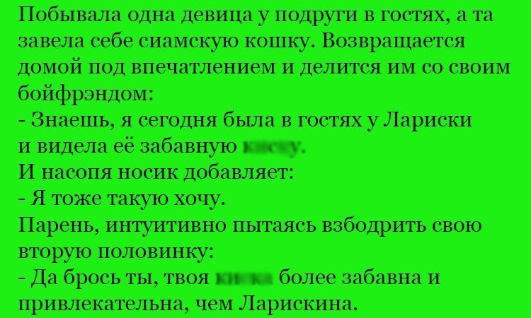Анекдот про Лариску