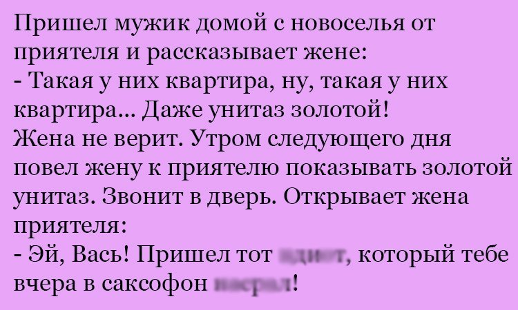 Анекдот про квартиру и унитаз