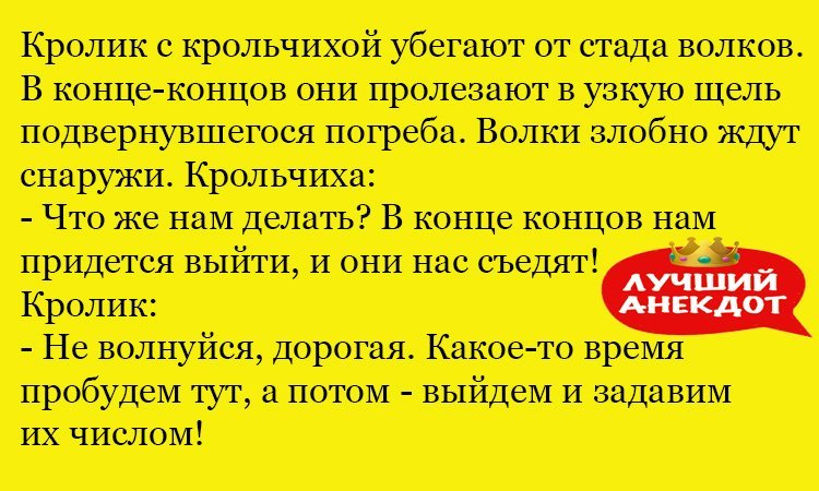 Анекдот про хитрого кролика