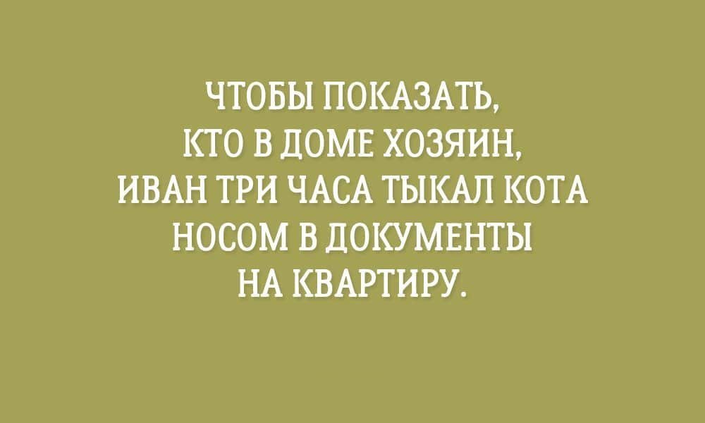 Анекдот про выбор лучшего