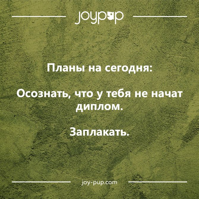 Анекдот про хитрого кролика