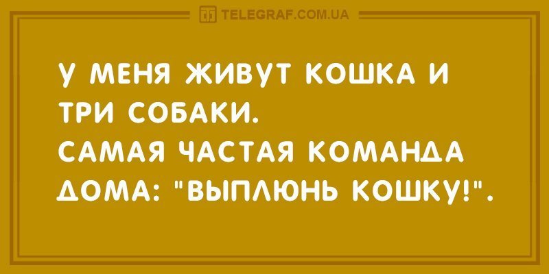 Анекдот про оригинальное общение