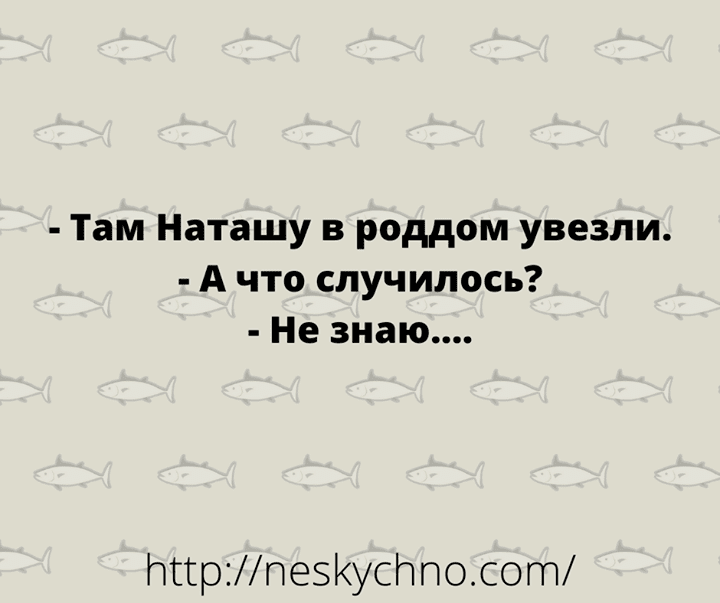 Анекдот про звезды и птичек