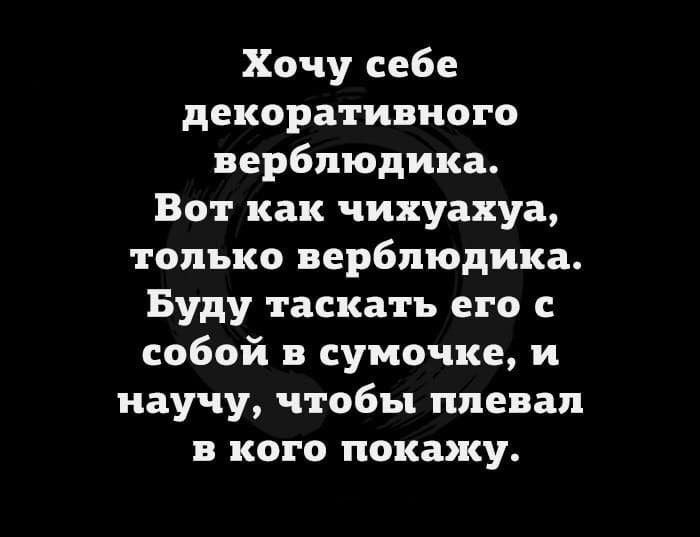 Анекдот про предпочтения