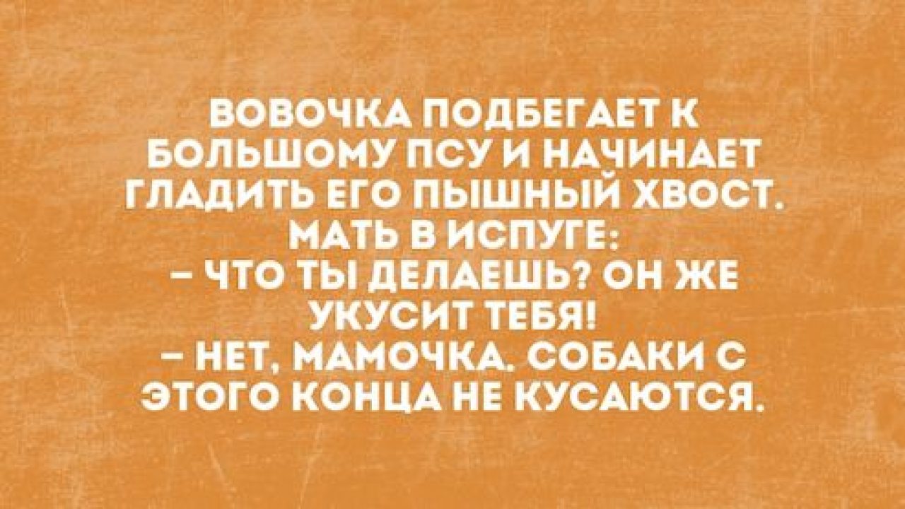 Анекдот про абсолютно все