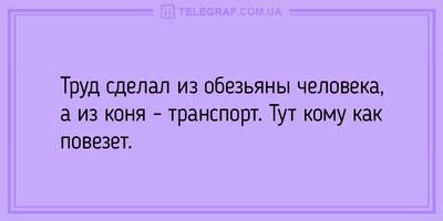 Анекдот про выбор лучшего