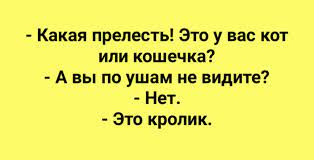 Анекдот про оправдания