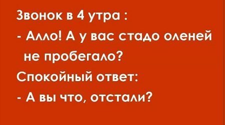 Анекдот про разочарованную жену