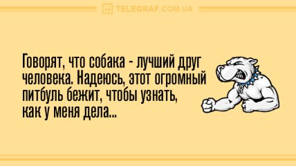 Анекдот про курочку