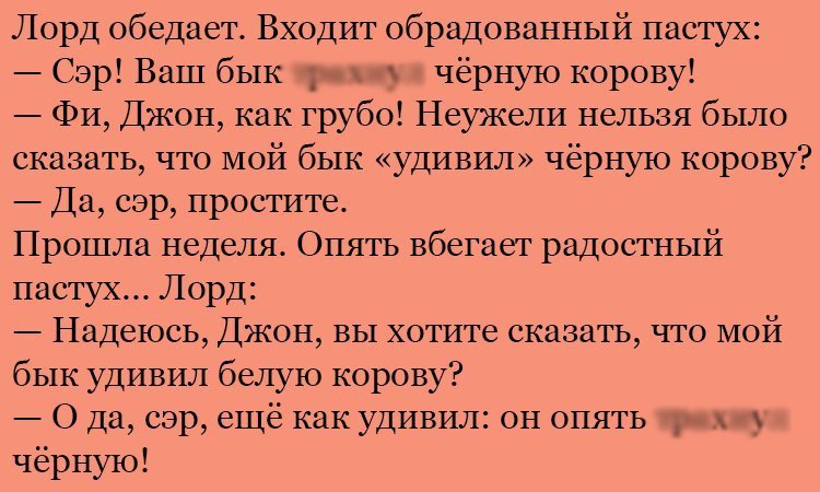 Анекдот про быка и корову
