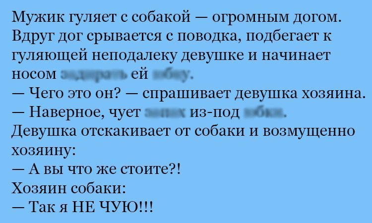 Анекдот про собаку и девушку
