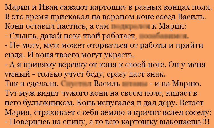 Анекдот про коня