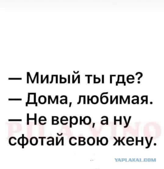 Анекдот про эксперимент