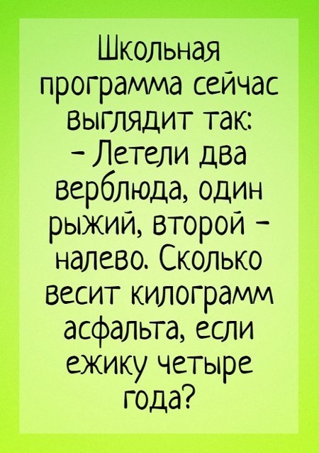 Анекдот про проверку