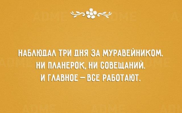 Анекдот про поиски