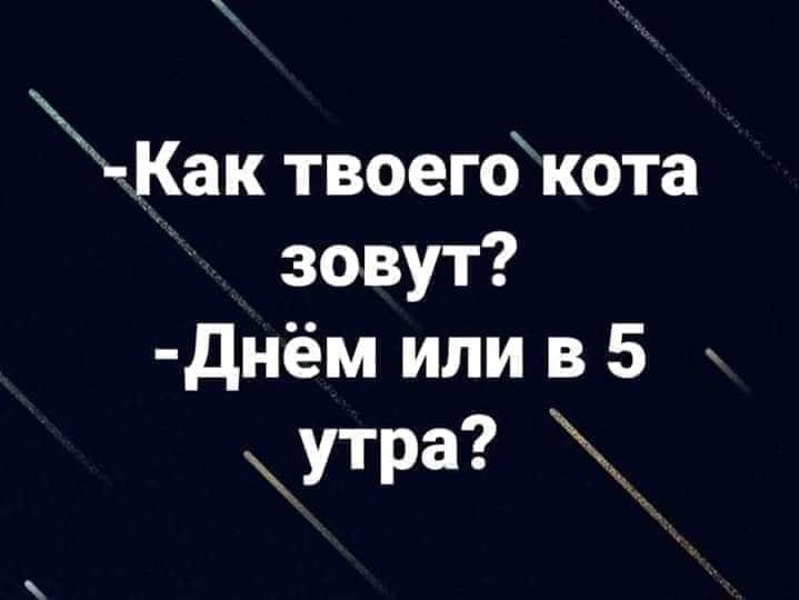 Анекдот про первую скрипку