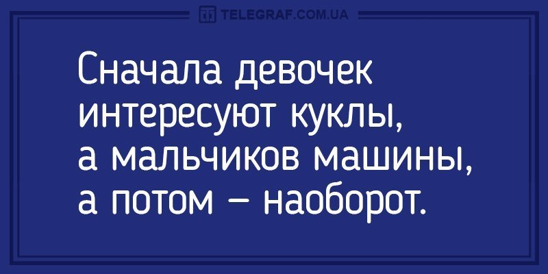 Анекдот про старого кота