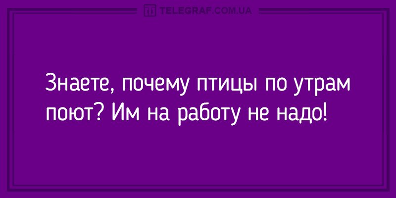 Анекдот про голос из толпы