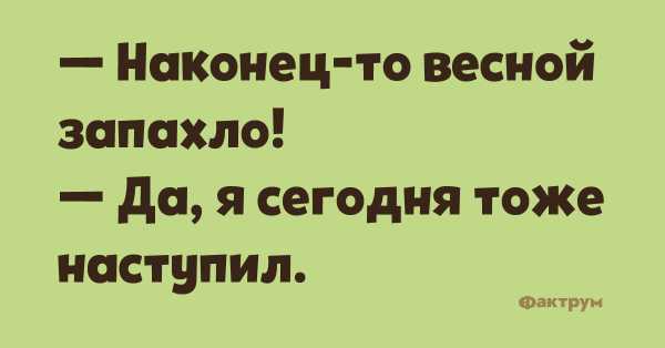 Анекдот про тесты и СМС