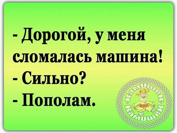 Анекдот про быка и корову