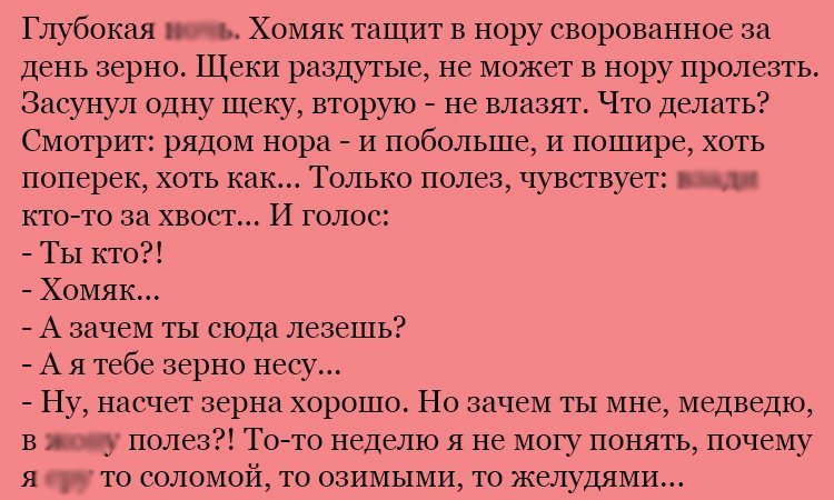 Анекдот про хомяка и зерно