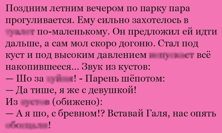 Анекдот про пару в парке
