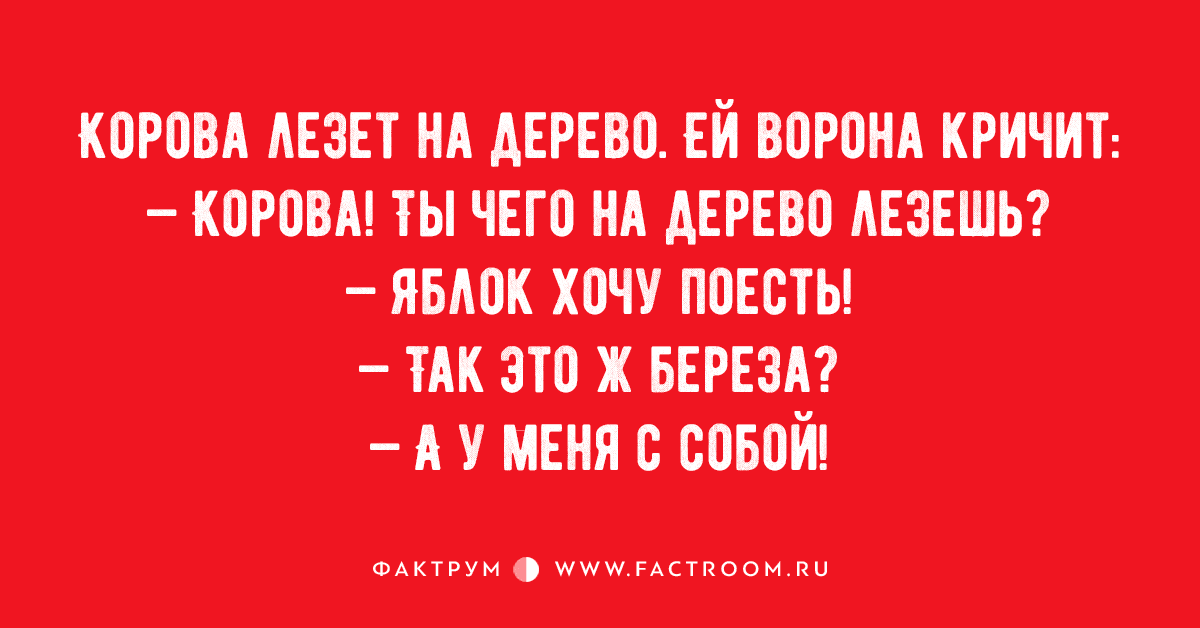 Анекдот про ошибочку