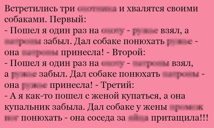 Анекдот про умных собак