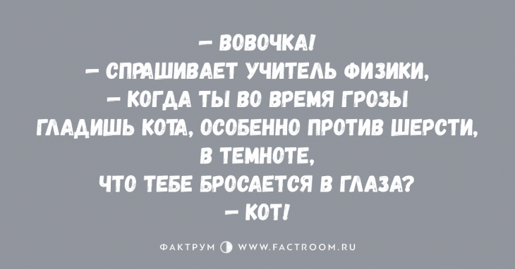 Анекдот про пару в парке