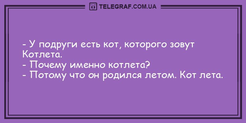 Анекдот про звонок от мужа