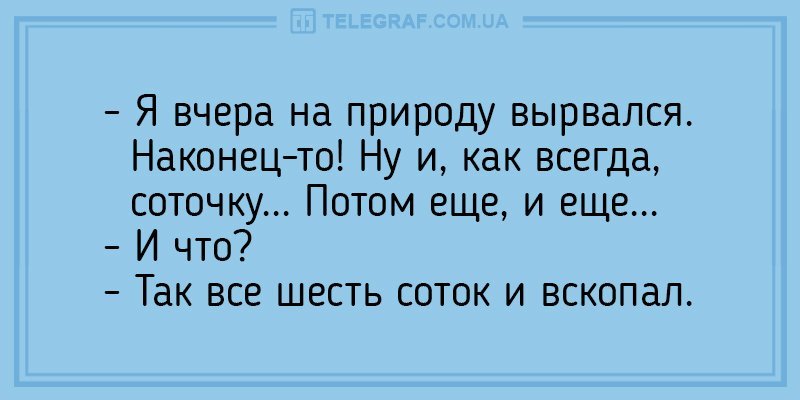 Анекдот про мультфильмы