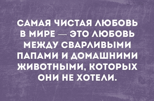 Анекдот про мобильный