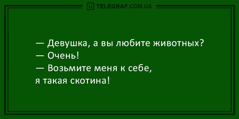 Анекдот про ошибочку