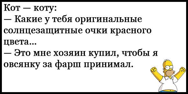Анекдот про общее и разницу