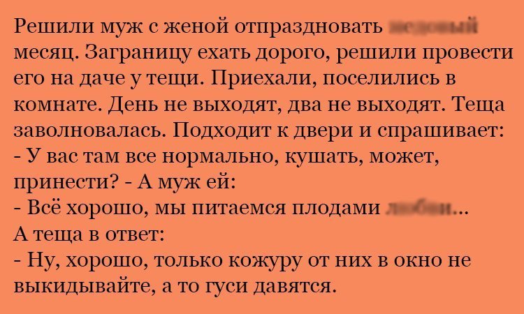 Анекдот про приключения на даче