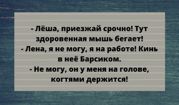 Анекдот про умения и успех