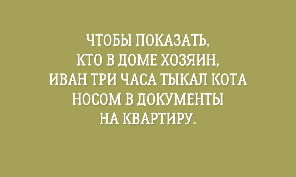 Анекдот про отправление