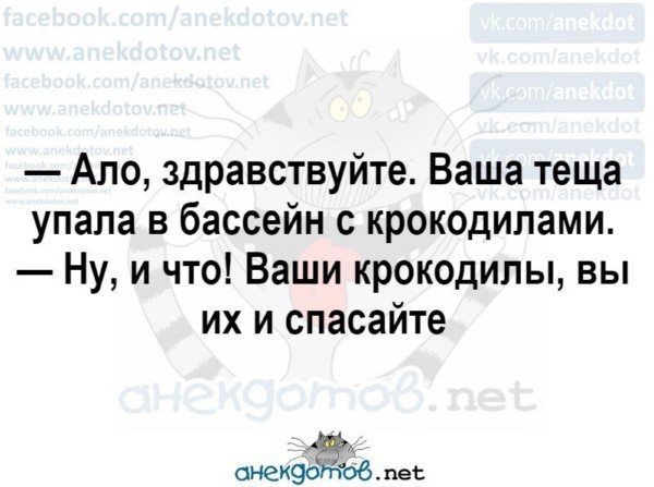 Анекдот про гребцов