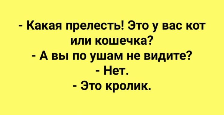 Анекдот про спину